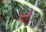 2023-01-05/4370d029819ff396c027c7fc8fa756a2_f40f188afebd34172af19c7b7860d9d5