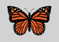 2023-01-05/adc973d56af985f7d04001ac6b396444_36782c9bbd92b195b02cef34dd1baeed