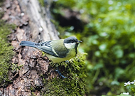 2023-01-06/93df18b97c6a037d94cb874e49aeaa59_32bb8950faf1b04653e99935cf77cd2a