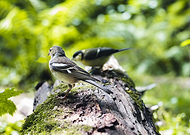 2023-01-06/b8df8ed0f779dc49d2bdfcc262bac777_ff23b1afb43e97a3a602d9871e0a4fc5