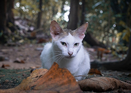 2023-01-06/d899271e416358e989e51cf2e456ca9c_3adb52c28df295810473d8b2ac61b96b