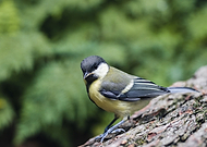 2023-01-06/df3f1ca10b455568cd8b3305a1da2b29_47921c9138c305fed0f6735be40926a1