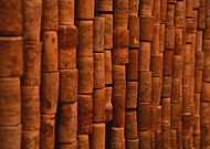 2023-01-10/21739d4369c8e7dcaeba1f0b89b60d31_90d8393079a216550347f014f2e9c419