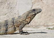 2023-01-12/03769c45db7f3aee42d57367b560b9b1_d2f733f7f0d6b67b6abd3a6dfc44dee3