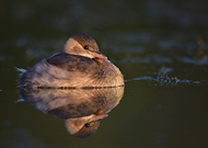 2023-01-14/643d502176ce3ebfca26936dd6812957_5f0bd9039077e8237ec5ee4edf0fdbef