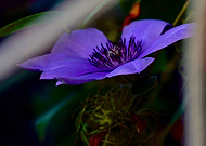 2023-01-15/d24c8c91300cde77a0c34d383196ce78_a825802ebd70b50cc5eae974848d8bf6