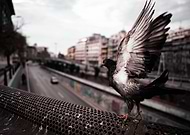 2023-01-16/0fe074f0dfc70263992e7f52f0909916_93e6a98f5de350c1d1c7c43588e80cc3