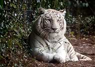 2023-01-21/8aa873012b4e44cbb7a4111f571f7246_033ac06375d7f8c9035d40faa53b6f87