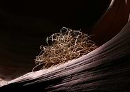 2023-01-24/e31efd6c504ad8f3c1749825001b4dcb_069101e2d877753625ac874b0657976a