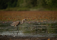 2023-01-26/44743362d8b8631422b5c342d662df6b_ab8633ec5e24d4416b3e3b34efad2b91