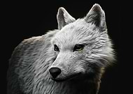 2023-01-28/2ae65cf861984d26ff2574e526361378_28e2583fe280fb97e989cabbe9e372b6