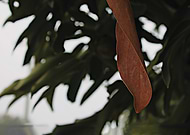 2023-01-29/f75d2960996bed5faa73fc46b4c2f6a7_1a94a57346c86e6e5abf17470a077e59