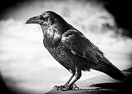 2023-02-01/88c7750fb1fa44352ae12de4930dad46_cb04b62e4b5d60e28149ca20362e9271