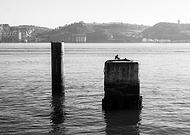 2023-02-04/f579c9aa34c99eabac9397b8ce6d391a_33d2020eef807504a6fb6e93868f90c0