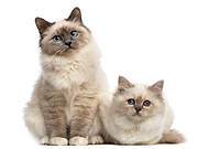 2023-02-06/a4812f2290688de509a78803c0caffa4_d6b2a9b011d5785e9a1790e970130bc0