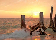 2023-02-17/d42bf9f9e1b85cb3f95afd14248768f2_2e0375d599958dc015cff57f4fe18cd6