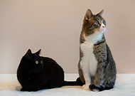 2023-02-19/a9114a13d5149759d719f3c5e668f43e_2d611227986c9d6ba9bc6474da585392