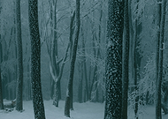 2023-02-22/41bfff69bfbee158f83ae80b0e5bc838_c7e6c13d0c1b7a325136ee89a6b769dc