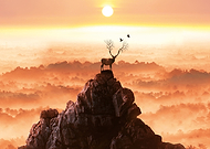 2023-02-22/a8376a23bd2d7be1c39a0cc188698619_ce1ec31285d7944611aa922dd135e3eb