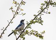 2023-02-22/d29a14e078b5921b382ecdf428b3d6fb_e12b3006526195f54147cdf922a08284