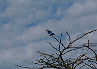 2023-02-24/c006e02bb55e272cde48b6946ff045dc_df5617c947f85bd836ccd000ec57b1b2