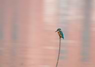 2023-02-28/6c171e0410a90a07d400170727a576e2_4ec4c448130ebf73eb996efb79b03314