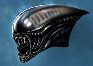 2023-03-02/e0040bed7c8d4ad4844ffdceef5a1352_32a59cc7d98735415e0285b4164569b1