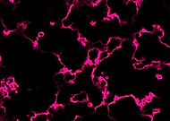 2023-03-04/314929e336fceb3a3f11b562081e1659_701eafc65e135ad7b14bd2038fe4bd7c