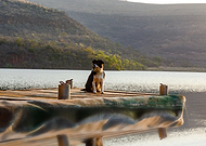 2023-03-08/c4b1dfdd9f09682c03cae26addc54f0b_0e4ae73e34e7101865c5b147e9464728