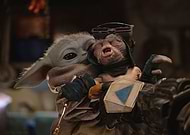 collection-preview-1