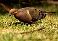 2023-03-18/2f69b236e4dc9d46d3c1fce2e6ba1db8_5ff3f2d237213690e1549cee5e34c995