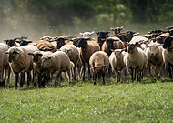 2023-03-19/136fdc6554347fe75787485816010917_466fad3fa8b28b56fcd50c1cc79c5810