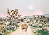 2023-03-23/c462388e81919a57715b57c258eb829d_8733f22947ed227d596abe7900838f8f