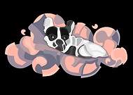 2023-03-25/2244bf779499ace943e21b0698ceaf77_fe6f4ee18af0f31db1c7c75cdc8a60f7