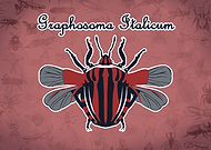 2023-04-02/9621ed1ce92bcfffde2b21b5fb07c354_b50d9578275a0b2d4e8960dcd4f1e028