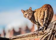 2023-04-05/fcb7b7986fd98f3490dcccb84e0697e1_8a0daa36df3282230ef739f37bdd2586