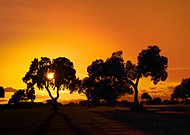 2023-04-07/6c2d7fcfaa7bb7a3781cad34640f3fb9_8fbd34612eb7e5f4d9e27d9b301d302c