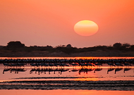 2023-04-07/c82b4f44b33b259c38d240e0f2a2a768_5df77757b59d280f29e68cb2d0ba6f63