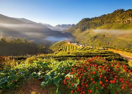 2023-04-07/e195520ad17725def81f8e49e86f50c5_e935d76de15792ee9ad614879c3a4f11