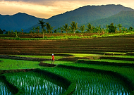 2023-04-10/77808743e30288acb9b16057ed20f352_4509eb4939078dd8d2b1c25b24b37f7e