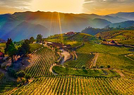 2023-04-10/d3ad286c037264ea821a8888e2a31020_7b072fbf4ba604d5b188ba3d8ef5f841