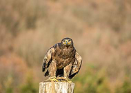 2023-04-22/2d140d9b3cb6f2142a75b74aedd1ffee_aa97453760b69bf7fe99c57e184a571e