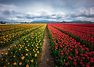 2023-04-22/5cb09b497e5a7051f2209cb03d6fcc30_3388d5630d64a73b70bfa9cc1b06e953