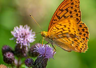 2023-04-22/8c8b4e63133a82de929ca0b8ef6c04e6_667f714e48c982b8504142965357e24d