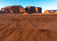 2023-04-25/cae4897c2120daef2a2049d85b6d11e2_166a99eb7deb42886e0c88b445223d8c