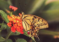 2023-04-28/579561dcb5359a4433361492abfacd28_6a6b287c322b66aa7e65fd1f90dba6d9