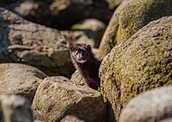 2023-04-28/7b5415b33c2c340b85835784a2cc98a8_fe9daeb7ad52ae9b47aed182f86ff1fe