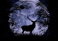 2023-05-01/8c66504d7c8c87128c6e5161e9204dc1_8bf49fd68f6013845ce2eb33dc6b0a0d