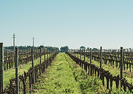 2023-05-02/28c0d3845f889c84da226c3af8c7cb26_ba5307548744db7c777099a544b7c4cb