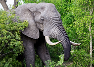 2023-05-03/2f46b1f9daf25e1c972edf83d33119e9_9f4e2c28abb85fd66e522b22764e4c88